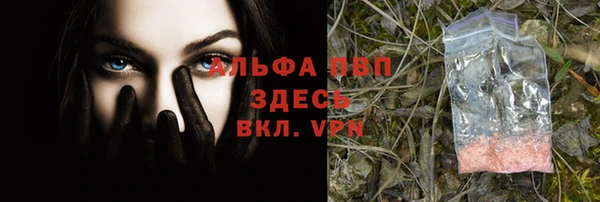 ECSTASY Лиски