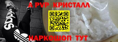 a pvp Камышлов