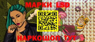 a pvp Камышлов