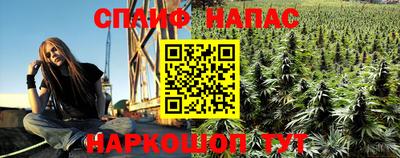 кокс Кандалакша