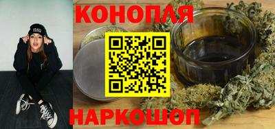 a pvp Камышлов