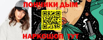 a pvp Камышлов