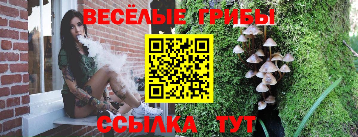 Галлюциногенные грибы мицелий  Вход с VPN  Маркс  Галлюциногенные грибы Psilocybe 
