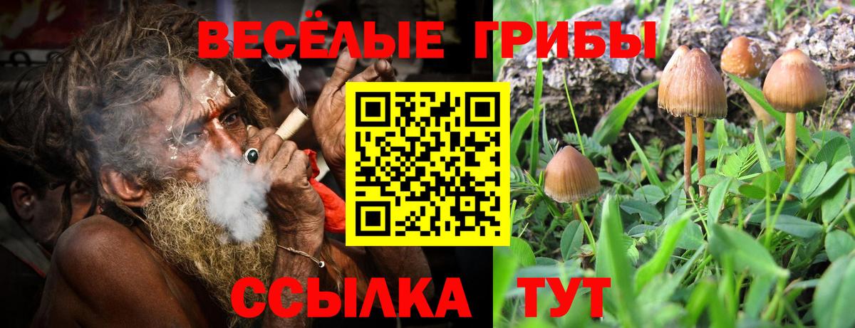 Галлюциногенные грибы Magic Shrooms Маркс